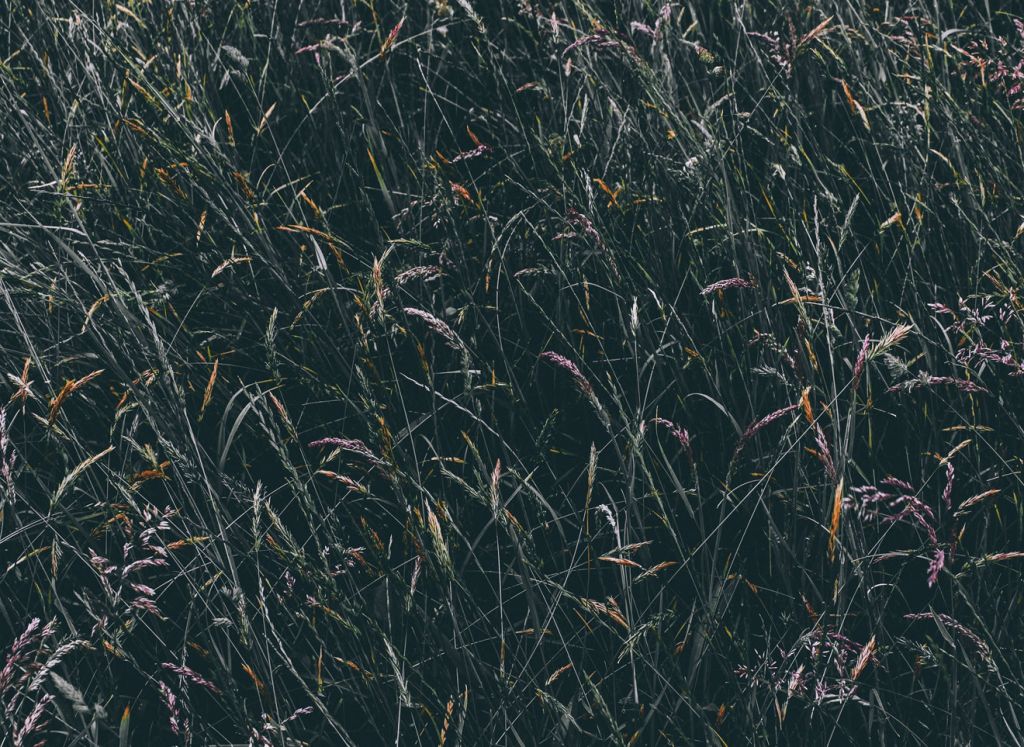 Simple Blog Post (Demo)