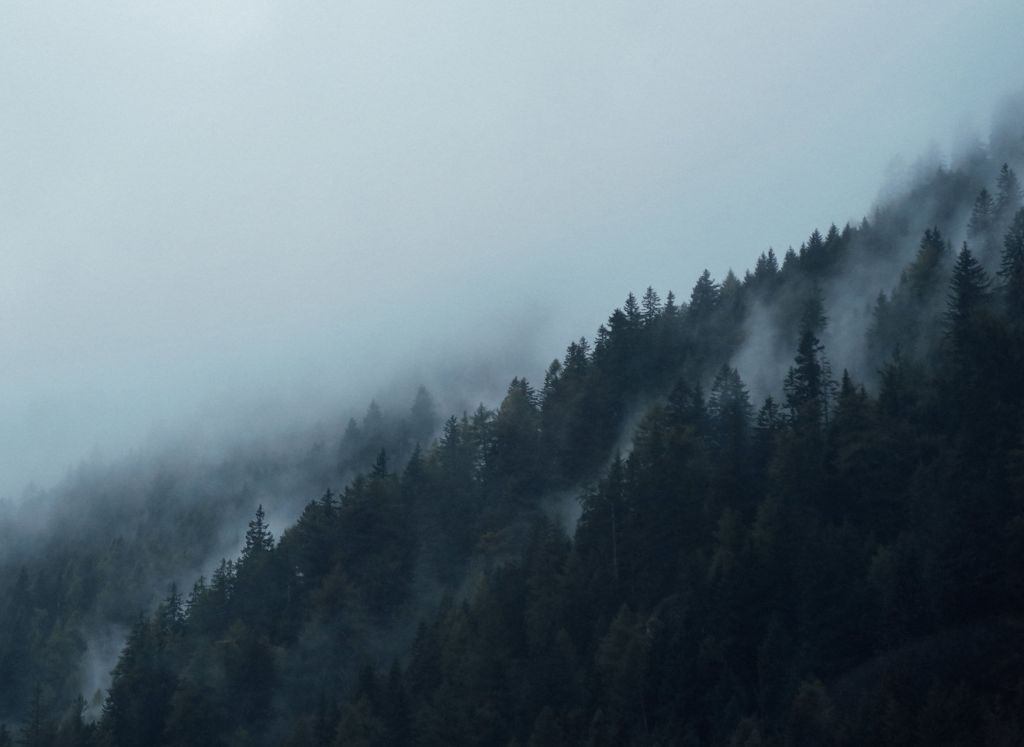 Simple Blog Post (Demo)
